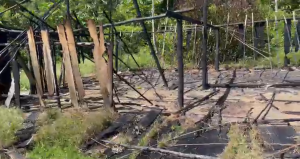 Comunidade Yanomami de adolescente estuprada por garimpeiros foi queimada e moradores desapareceram