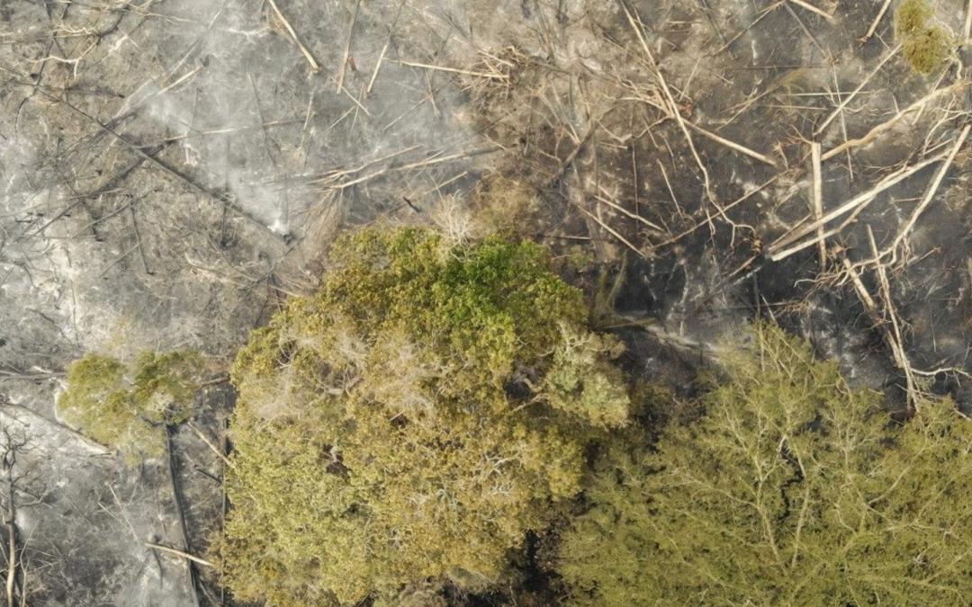 Entenda as principais ameaças da MP910, conhecida como MP da Grilagem