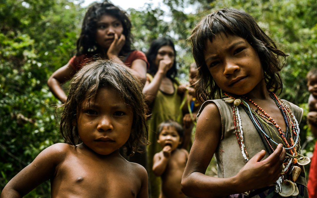 Indígenas ameaçados entre o garimpo, o desmatamento e o coronavírus na Amazônia