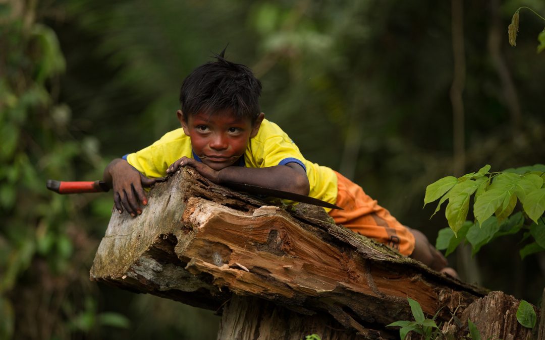 Indígenas do Vale do Javari pedem socorro e temem terem sido contaminados por agentes da Sesai