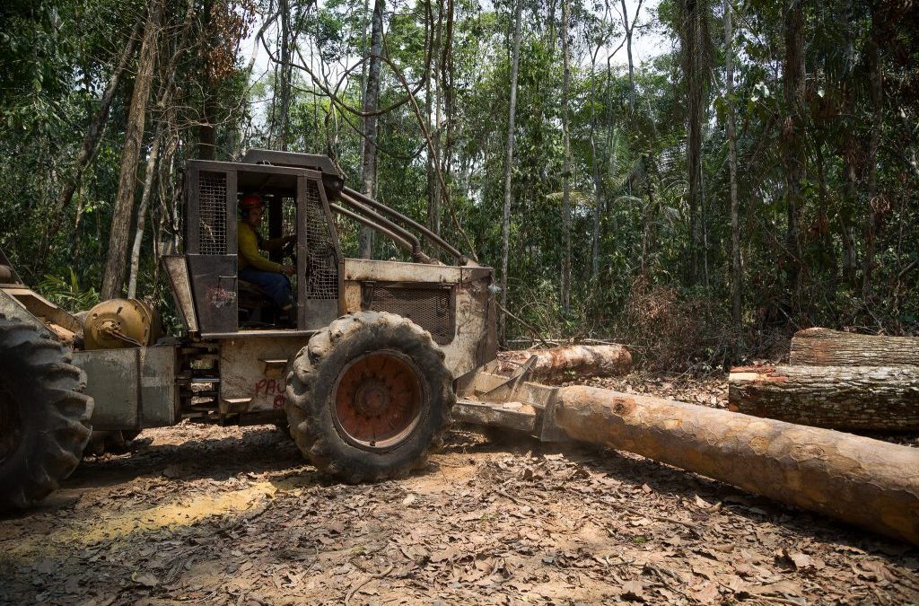 40 empresas globais assinam carta contra ‘PL da grilagem’