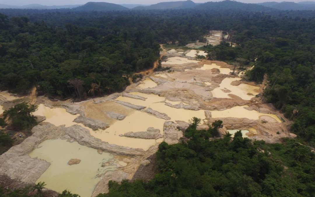 Invadida por grileiros, demarcação da Terra Indígena Apyterewa está sob risco no STF