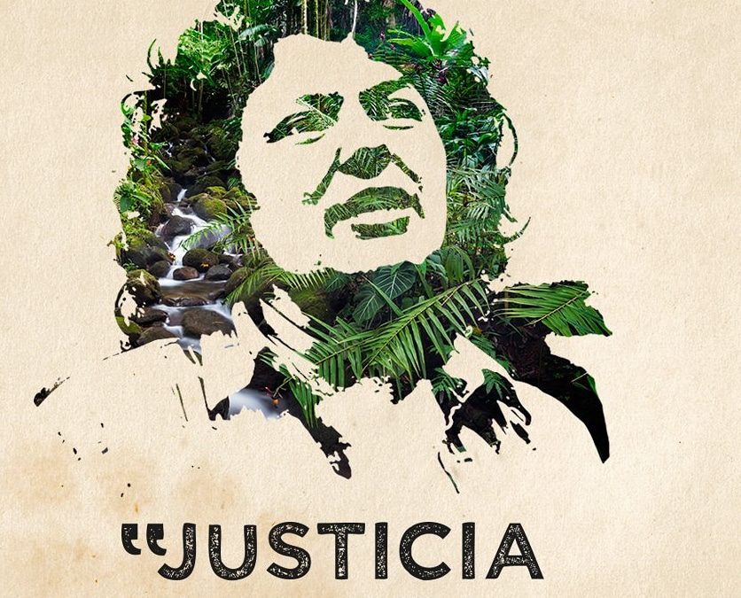 arquivo-proyectos-casa-ninja-amaz-nia