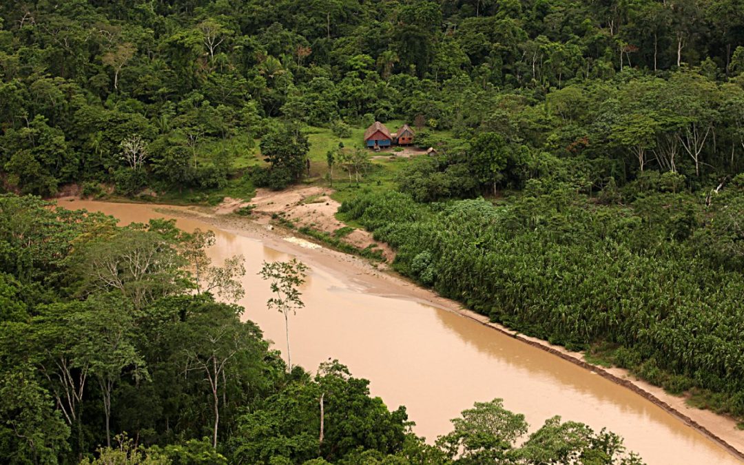Ribeirinhos da Amazônia relatam ameaça do coronavírus e abandono pelo governo