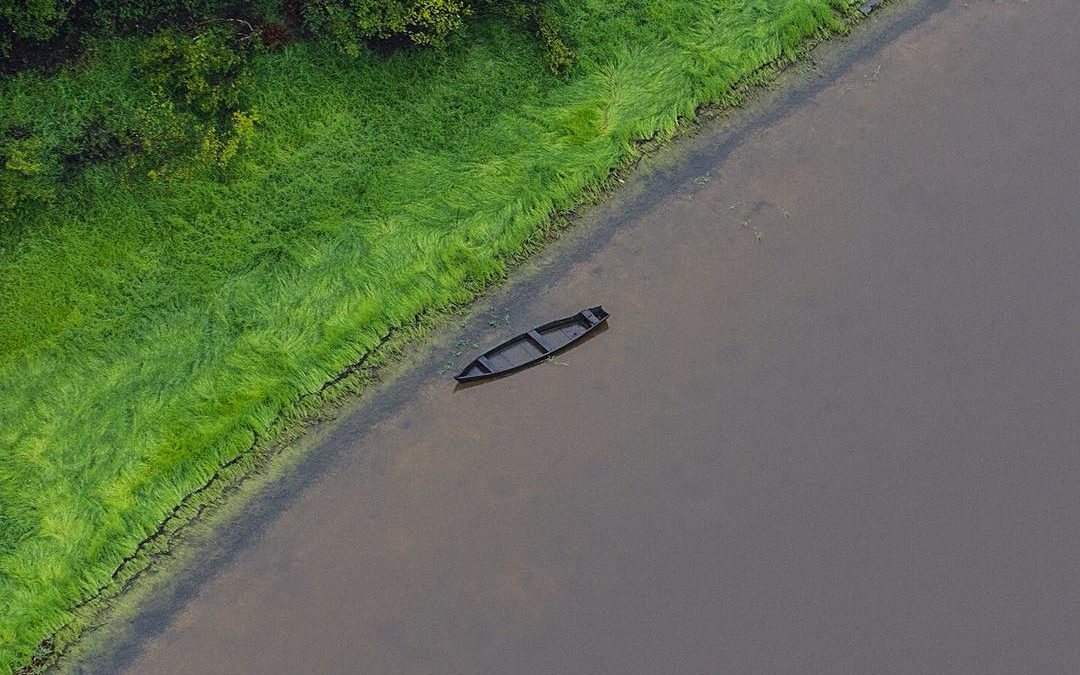 Em RO, indígenas isolados aparecem em sítio e Coiab teme contágio de covid-19