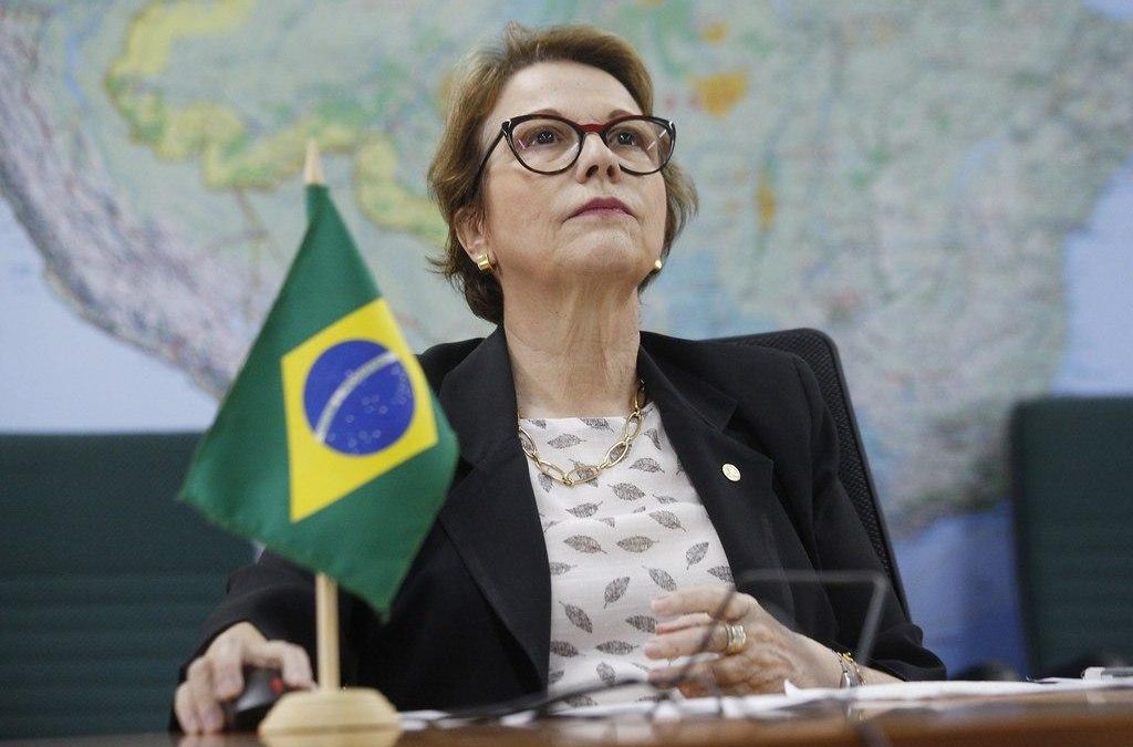 Ministra da Agricultura é chamada pelos europeus de ‘senhora desmatamento’ e “musa do veneno”