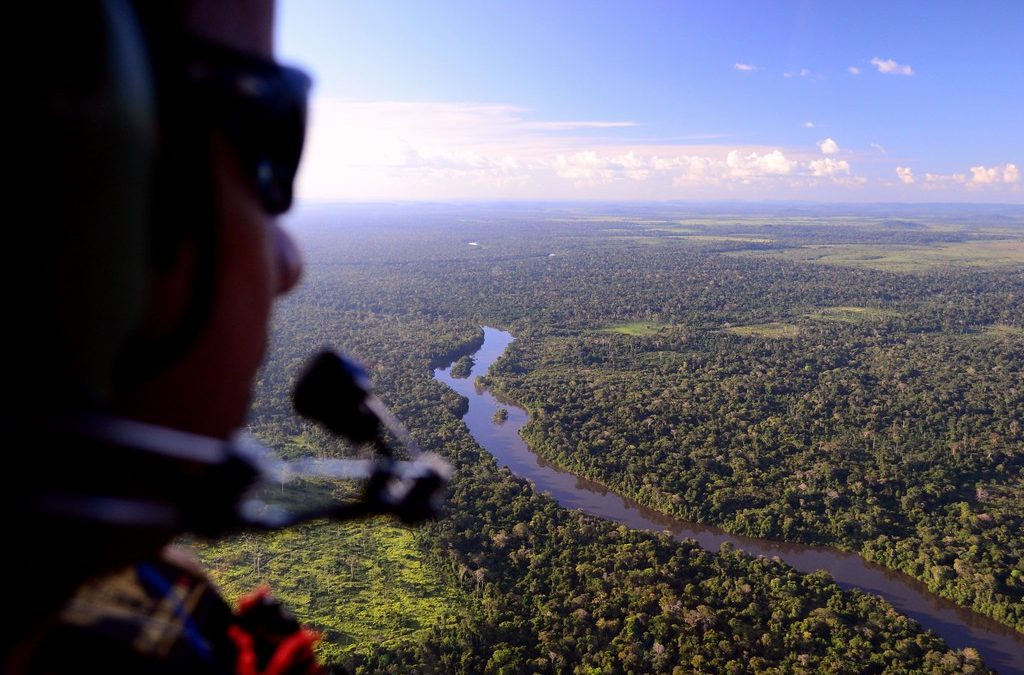 Maiores bancos do Brasil se unem em defesa da Amazônia