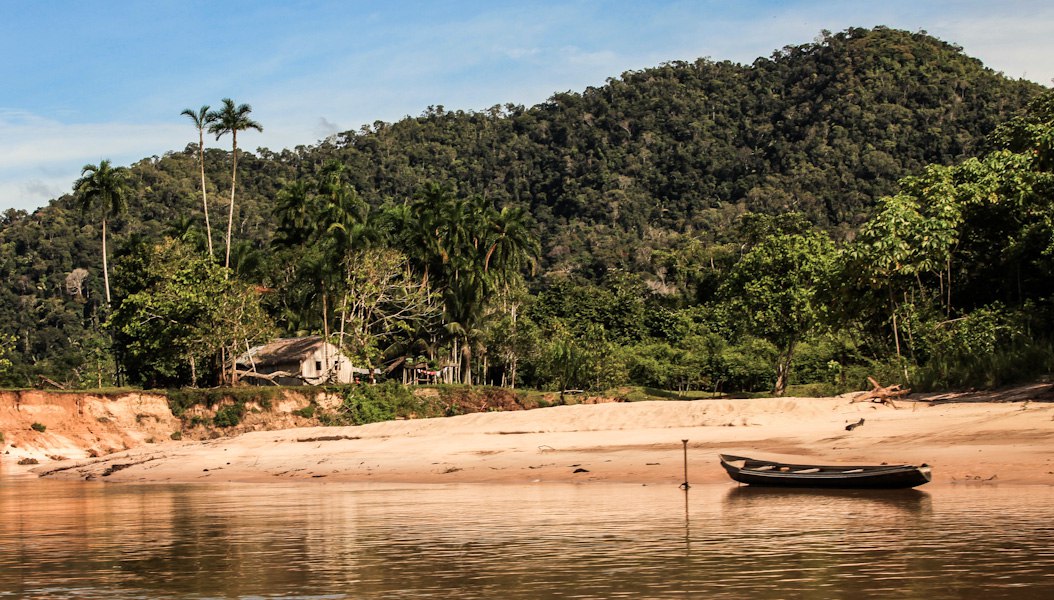 Vai ser uma destruição insana da natureza, diz secretário-geral da SOS Amazônia ao analisar PL 6024