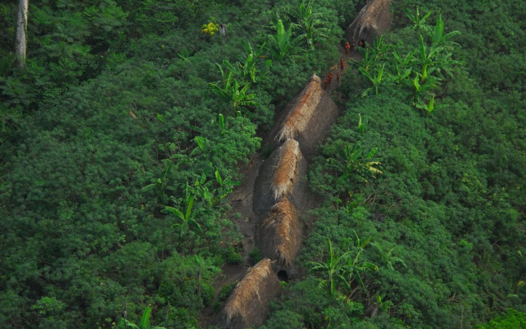 Na Amazônia, covid-19 se aproxima de áreas de indígenas isolados e de recente contato