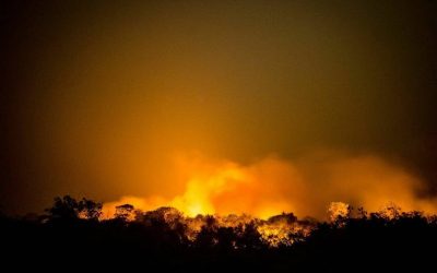 Fumaça de queimadas do Pantanal e da Amazônia chega ao Sul e Sudeste