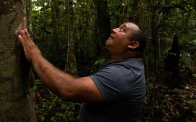 “Caboclo nenhum quer tocar fogo em nada”, afirma ex-madeireiro no Amazonas