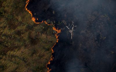 Pará, Amazonas e Mato Grosso somam 90% das queimadas de agosto