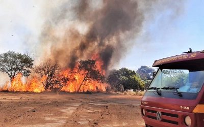 Tocantins pede ajuda do governo federal para combater incêndios