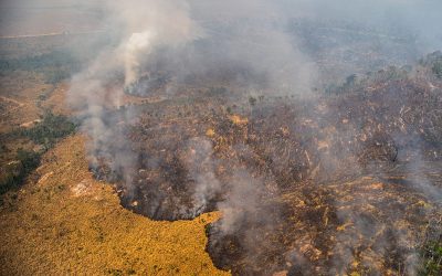 Qual a relação do agronegócio com as queimadas?