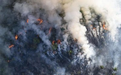 Amazonas atinge o mais grave cenário de queimadas dos últimos 22 anos