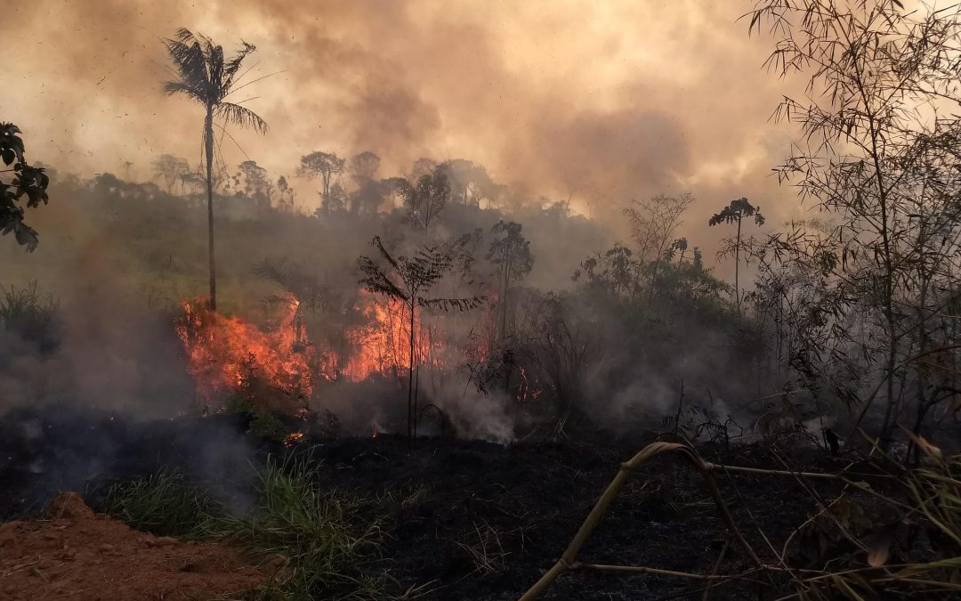 Acre registra primeiros focos de incêndios florestais em Xapuri e em Rio Branco