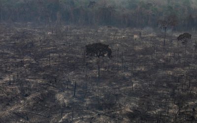 O que as queimadas na Amazônia tem a ver com a economia?