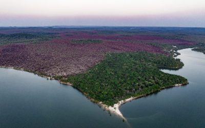 Queimada na Amazônia em junho é a maior dos últimos 13 anos