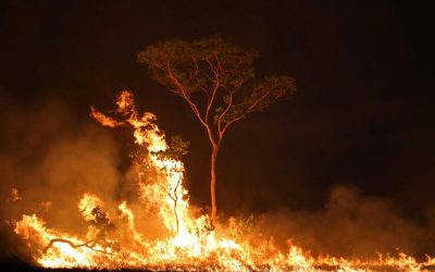 Amazônia registra uma nova queimada a cada dois minutos