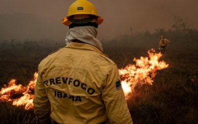 Governo Bolsonaro já cortou 58% de verba para conter incêndios na Amazônia