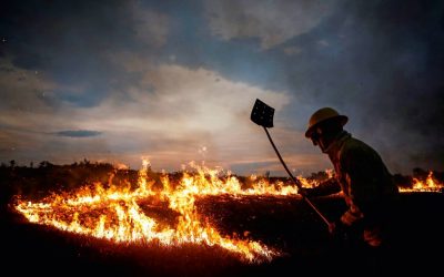 Pantanal de Mato Grosso atinge o maior número de focos de calor em 10 anos