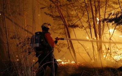 Queimadas disparam na Amazônia em julho, e agosto pode ser 6 vezes pior