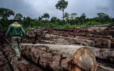 Multas ambientais despencam apesar de recorde de incêndios no Pantanal