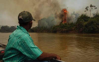 No Pantanal mato-grossense, incêndios ameaçam TIs Bororo e Guató