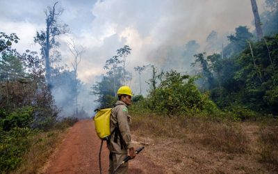 Brigadistas e voluntários: entre o fogo e o descaso dos governos