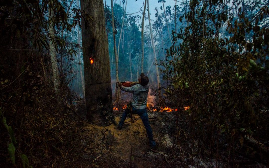 Indígenas do Alto Guamá, no Pará, combatem incêndios iniciados em fazendas