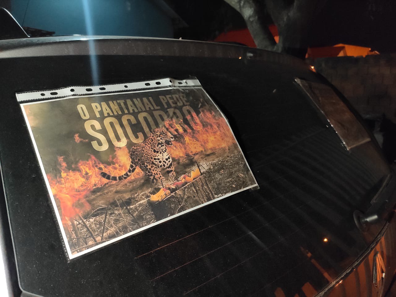 Voluntária leva tapa na cara porque adesivo no carro pedia apoio ao  Pantanal - Casa Ninja Amazônia, image size:1280x960