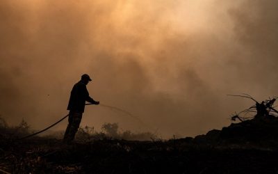 Câmara Federal pede mais recursos, militares e criação de Gabinete de Crise para combate a incêndios