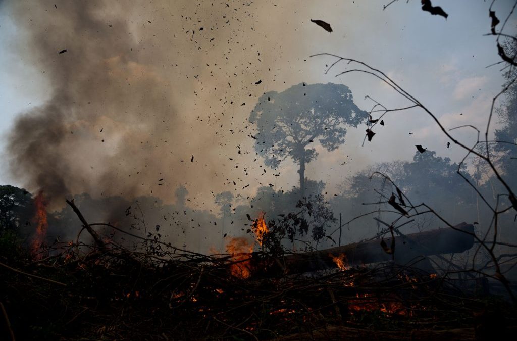 Desmatamento da Amazônia aumenta 68% e bate recorde dos últimos 10 anos