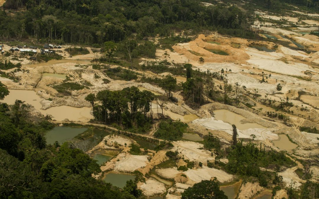 ‘Funai está colaborando com a destruição do território’, denunciam caciques Munduruku
