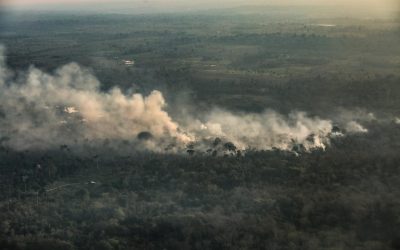 Amazonas registra maior foco de queimadas desde início da contagem, aponta Inpe