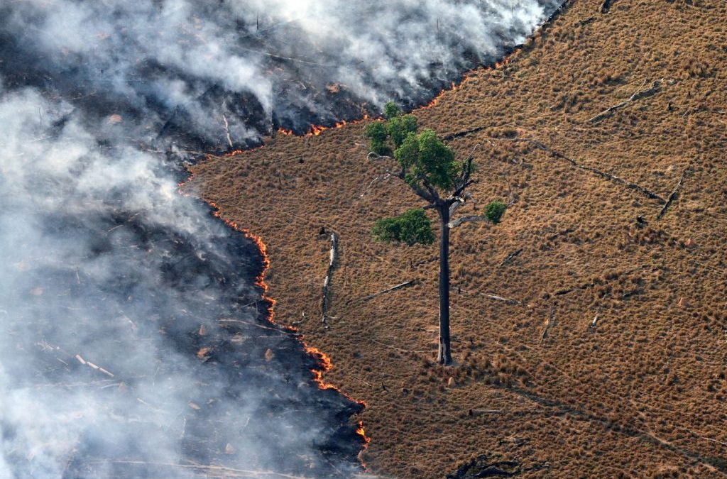Acordo UE-Mercosul tem revés histórico devido à política ambiental brasileira