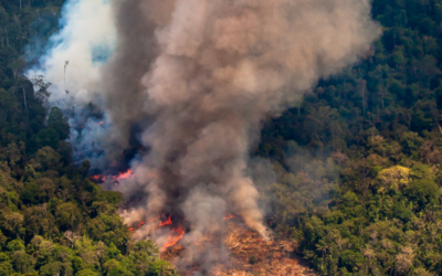 Sinal de Fumaça: Jornalistas lançam monitor de ataques à política socioambiental no Brasil