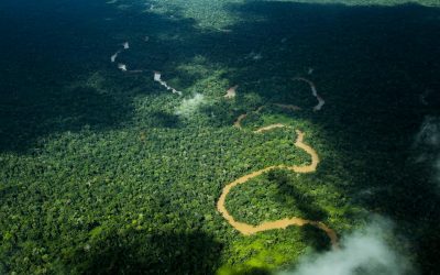 Governador do Acre propõe exploração de floresta públicas por empresas privadas