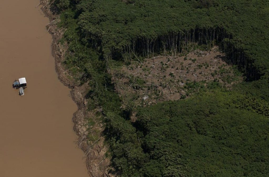 Oficina criativa construirá campanha contra legalização do roubo de terras públicas