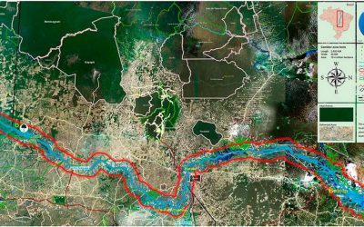 Corredor verde: Projeto de reflorestamento conectará Amazônia e Cerrado com 1,7 bilhão de árvores