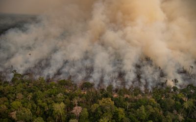 MP de Rondônia entra com ação contra lei que reduz áreas de unidades de conservação