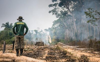 Com Salles, “Ministério do Meio Ambiente morre aos poucos e por asfixia”