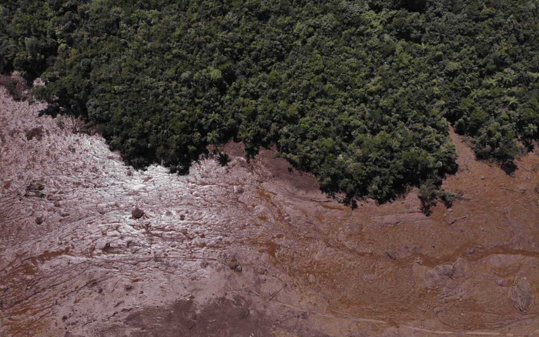 Notas técnicas, cartas e manifestos criticam projeto de Licenciamento Ambiental de Neri Geller