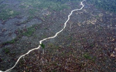 Com lei criada e aprovada por governador, Rondônia perde 167 mil hectares de reservas florestais