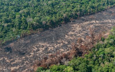 Governo do Amazonas decreta situação de emergência ambiental