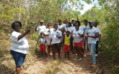 Farmácia centenária: comunidade quilombola produz remédios com plantas do Cerrado