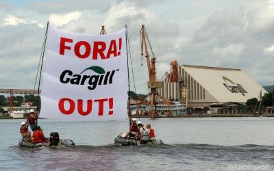 Cargill no Tapajós: Destruição, violação de direitos e impunidade são o legado da empresa na região