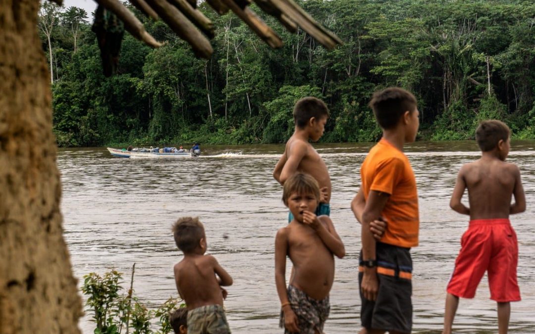 Garimpeiros atacam novamente comunidade Yanomami e matam cachorro como forma de intimidação