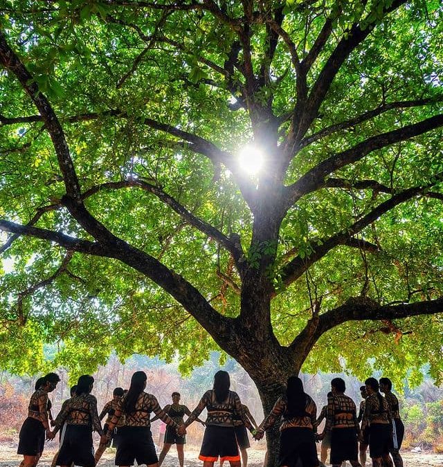 Associação indígena publica nota contra discurso mentiroso do governo Bolsonaro