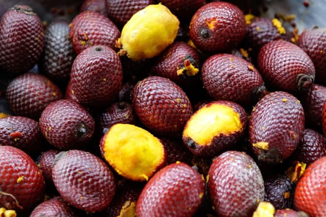 come-se: Frutas Amazônicas, parte 1. Coquinhos: pupunha e tucumã